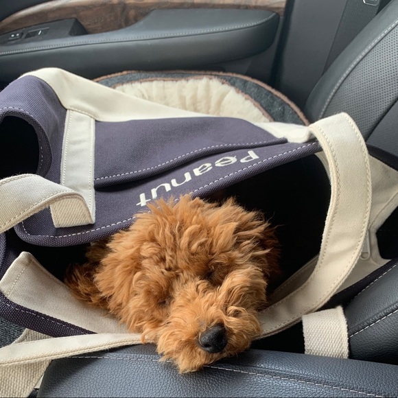 Meet your Posher, Keren - Picture 3 of 4